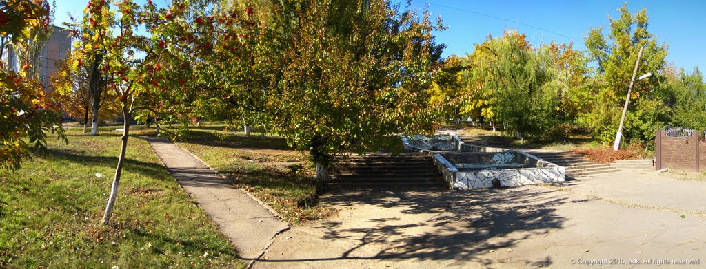 Рябина алая (16.10.2010)