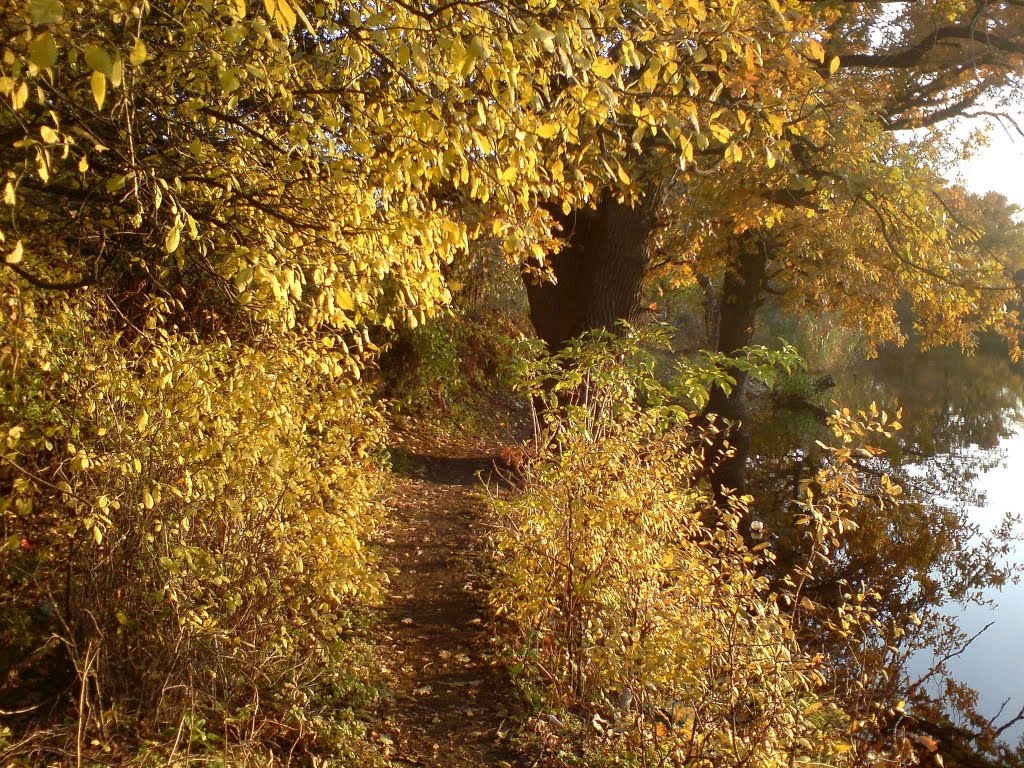 Осень в Дубках.