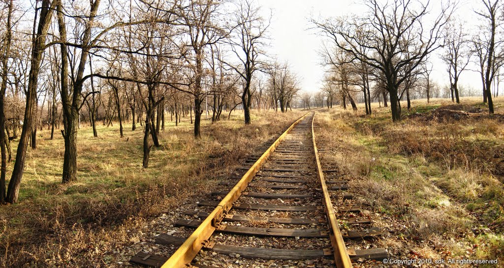 Дорога