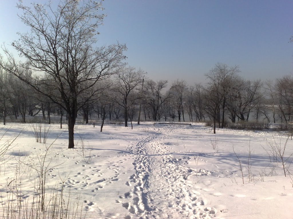 Park on a frosty day (2011)