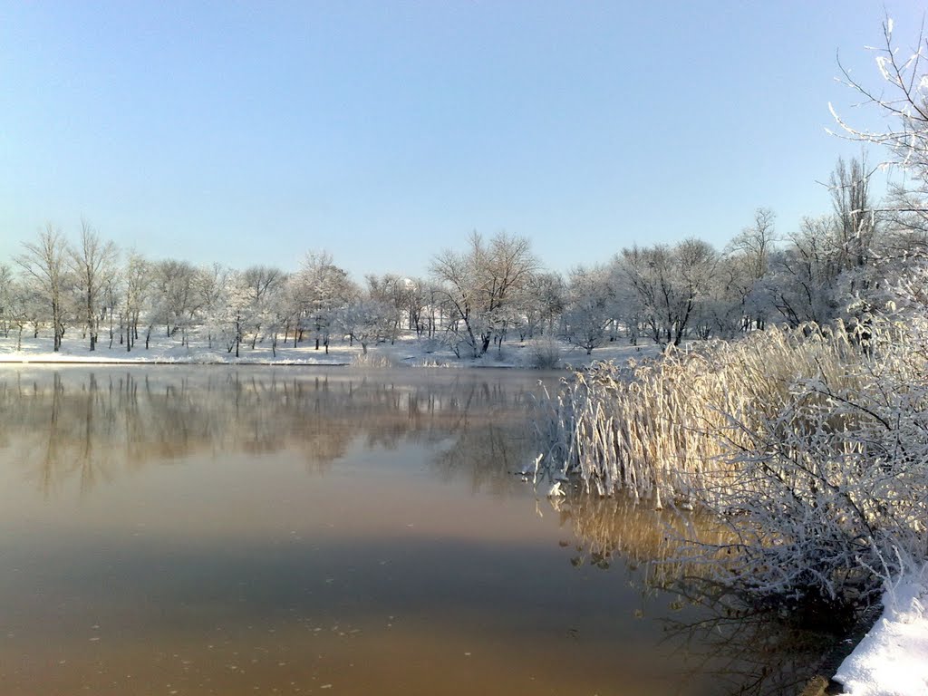Lake in winter (2011)