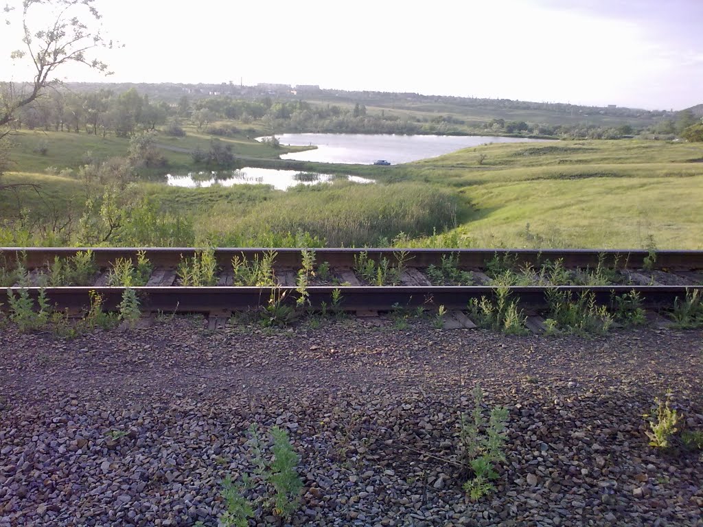 Молочка 2010