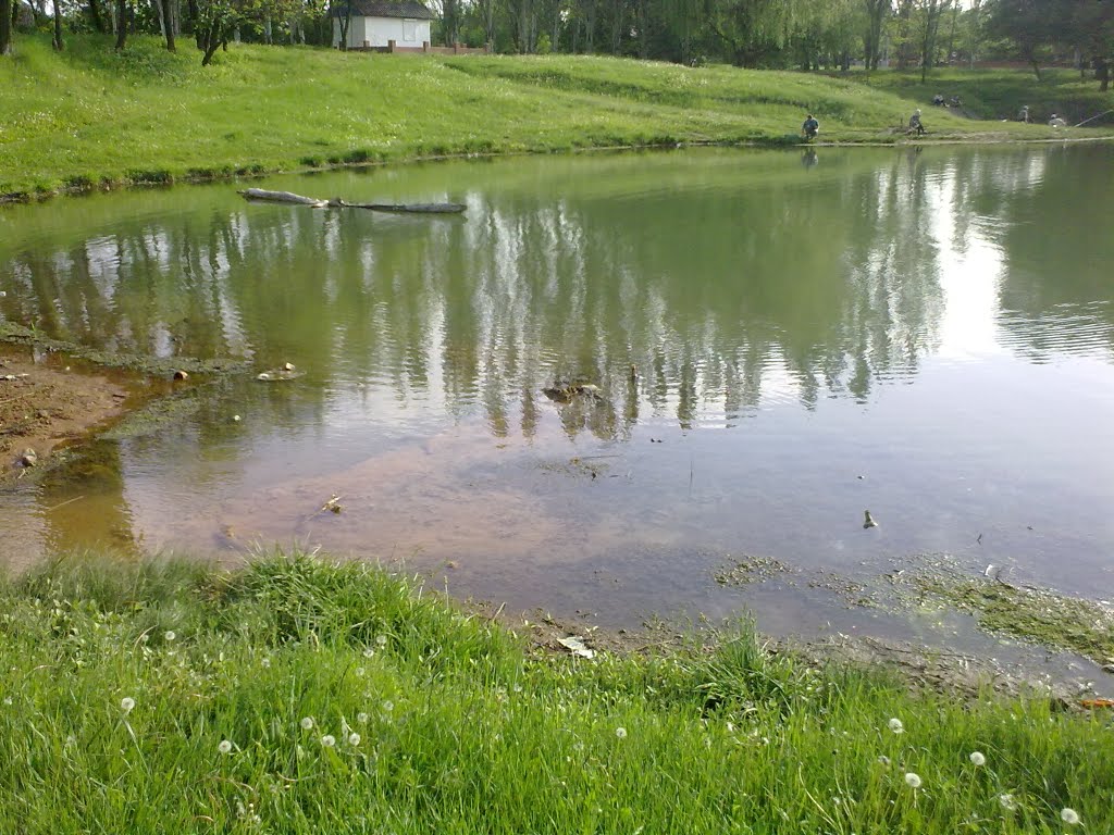 Синатка втёк 16.05.2010