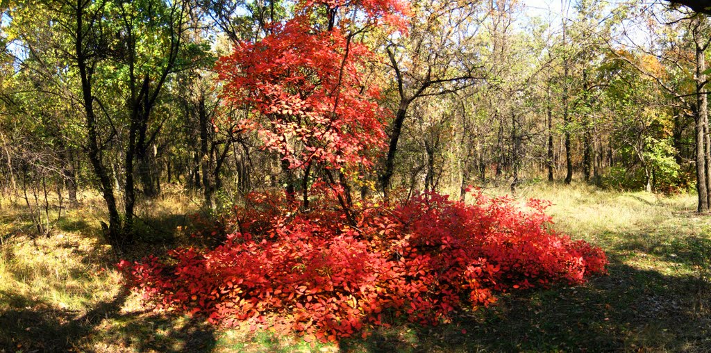 Красный островок (09.10.2011)