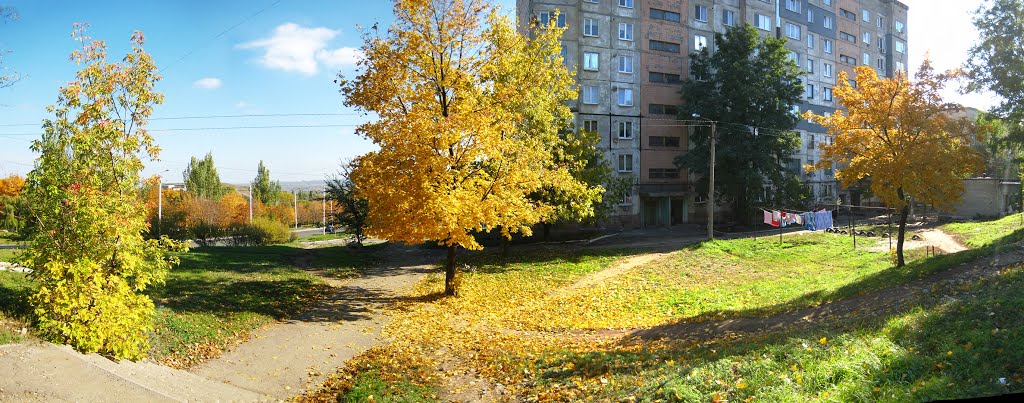 Осыпалось золотом (12.10.2013)