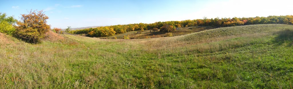Прогулка (12.10.2013)