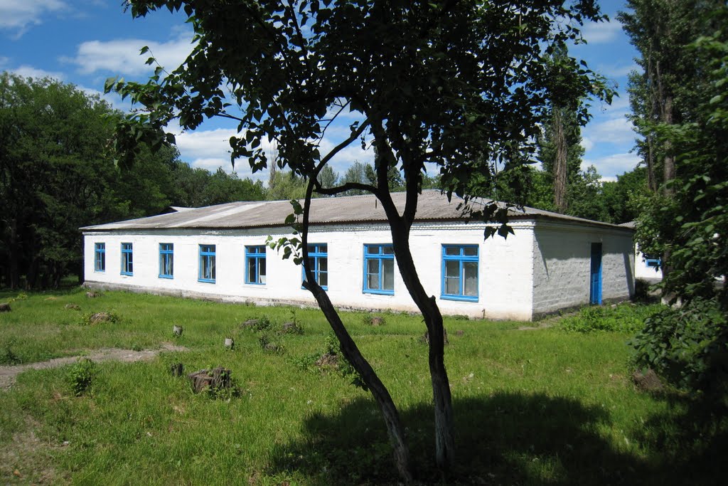 Школа. A school.