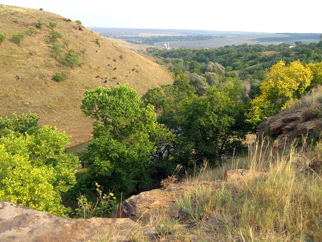 Вот и осень подкралась незаметно
