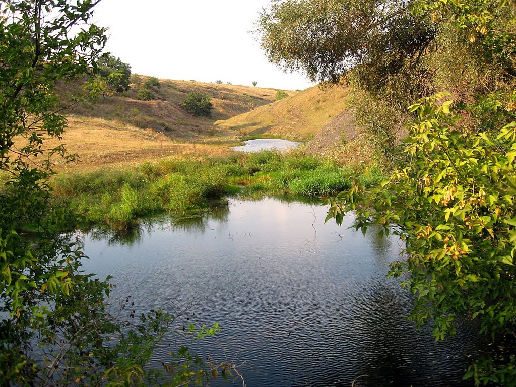 Запруды