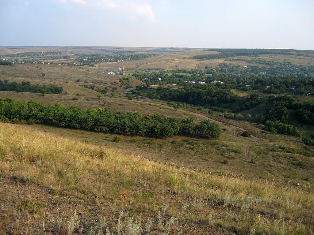 Вид на церковь