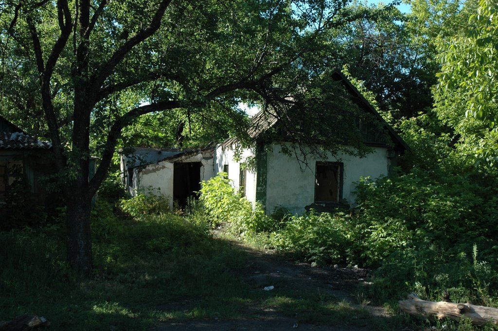 Дом затерянный в зелени. A house lost in green.
