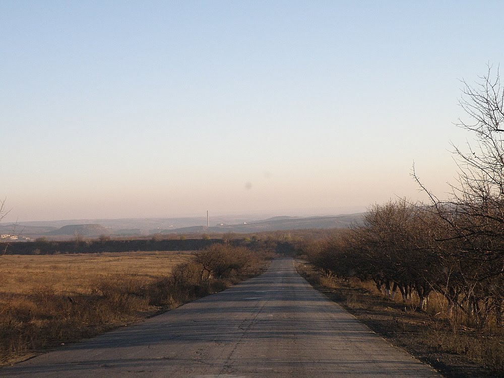 Дорога в сторону Княгиневки.