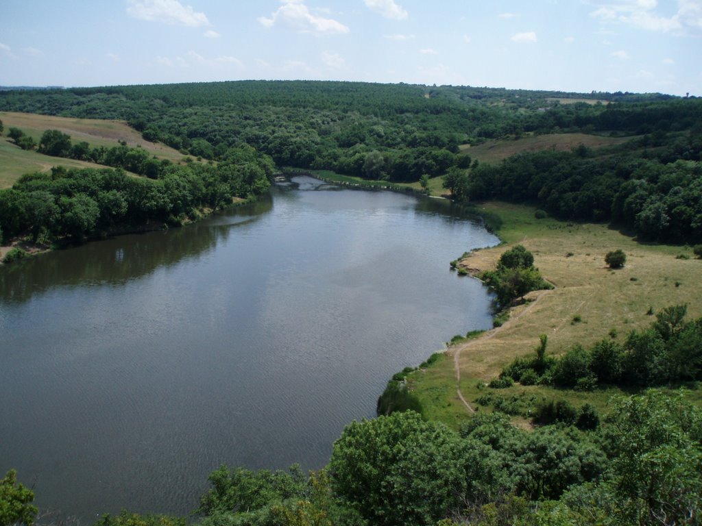 Курячанский ставок
