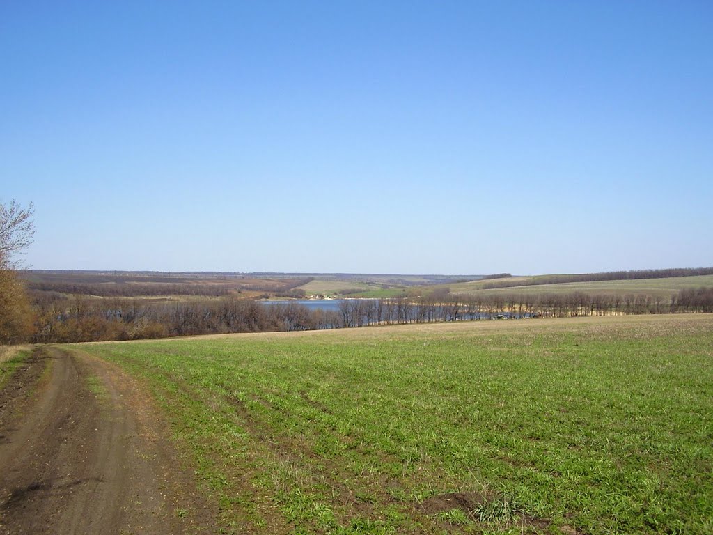 Дорога на ставок БАМ
