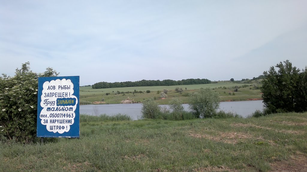 Ставок, Pond