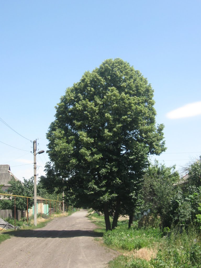 Успенка, ул. Куйбышева