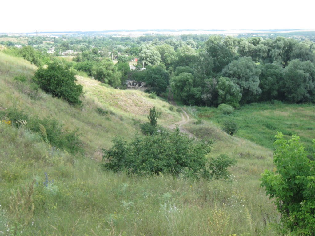 Вид с бугра