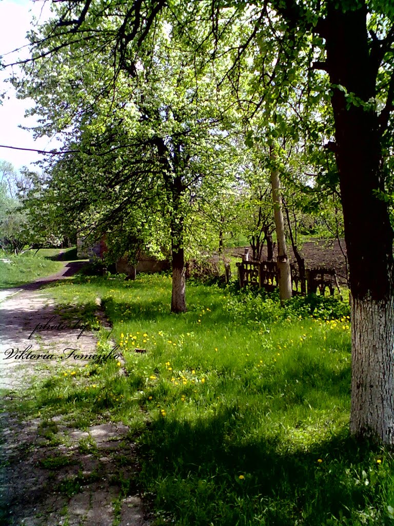 СШ№15