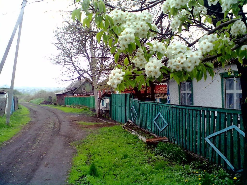 пригородная