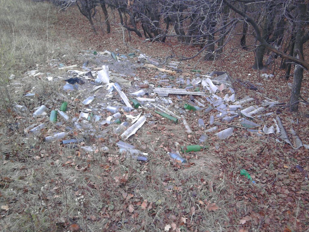 Вот так бережем природу Луганской области...