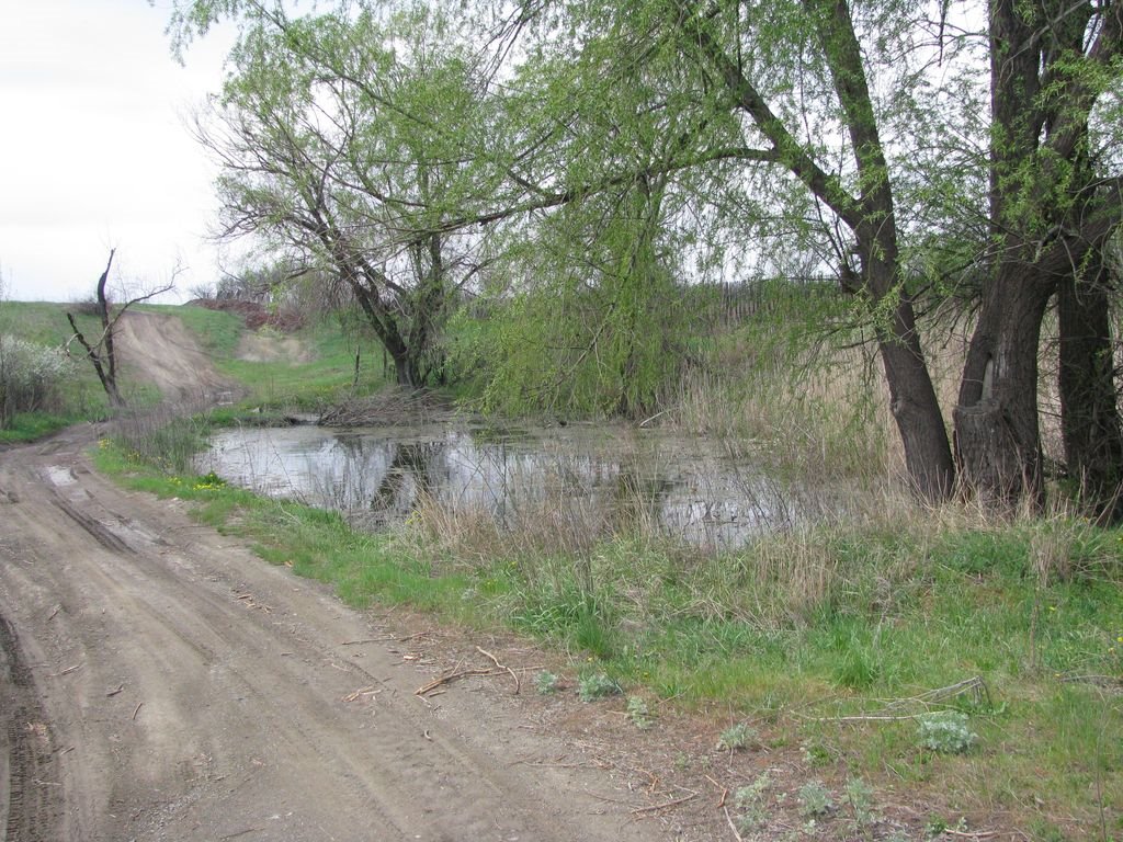 Высохший в прошлые годы пруд снова наполнен водой