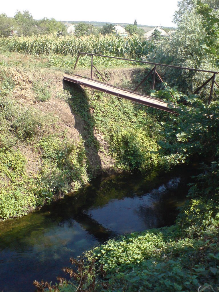 Эсауловка, р.Крепенка