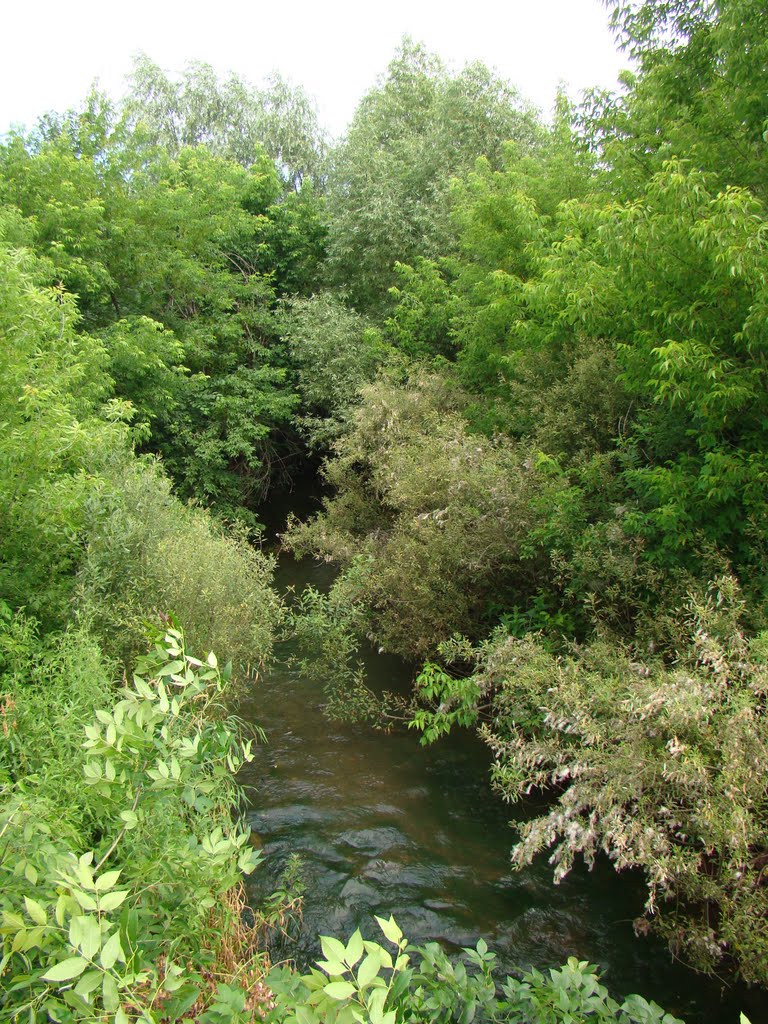 РЕЧКА(26.06.10.)