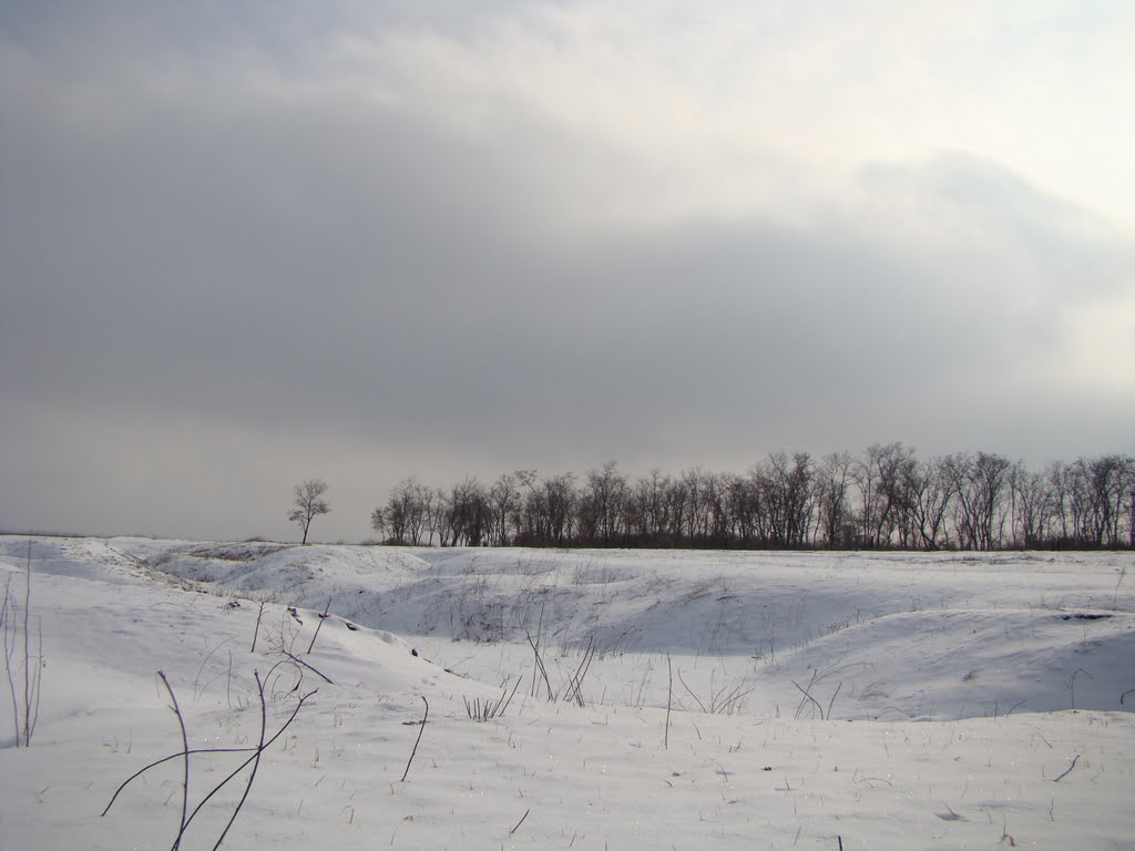 СТЕПЬ(03.02.11.)