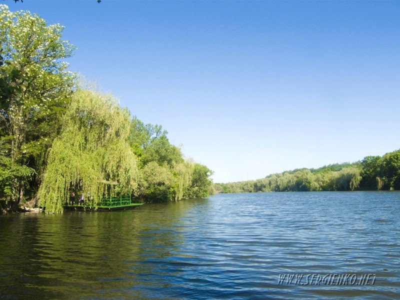 Lake on Chekhovs Summer residence 2011.Озеро на Даче Чехова 2011.