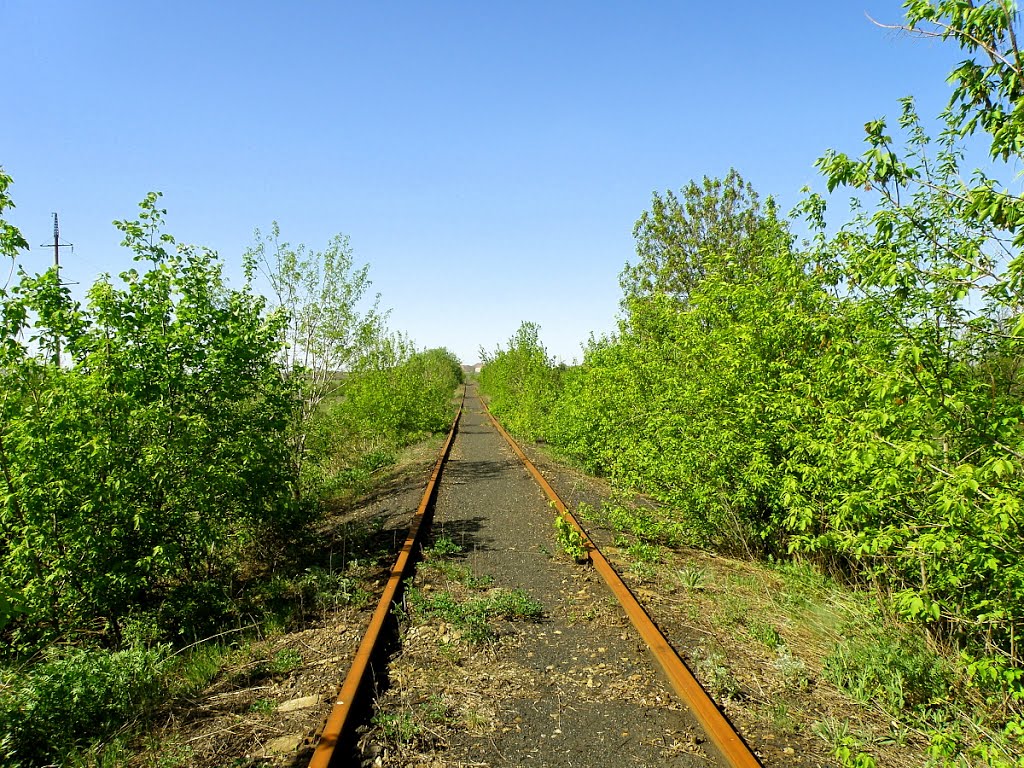 Подъездной путь к шахте Новопавловская в сторону станции.