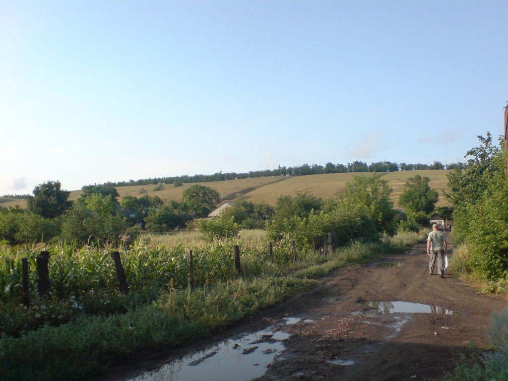 Зимогорье