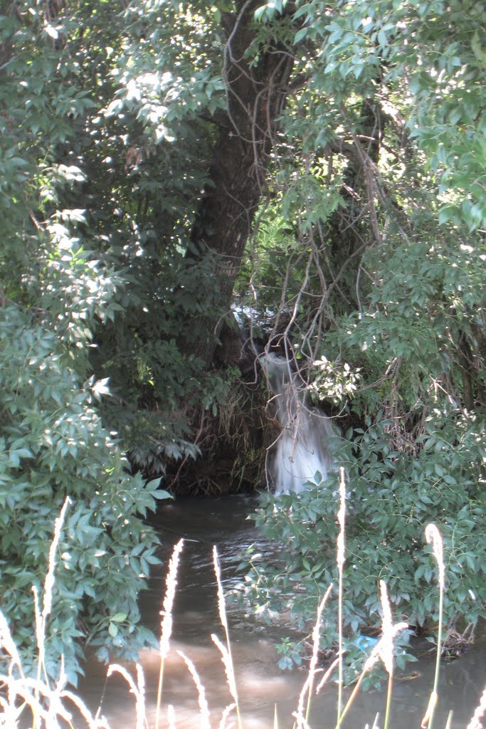 Ручей. A stream.