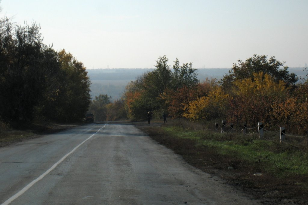 Изгибающаяся дорога. Curved rouad.
