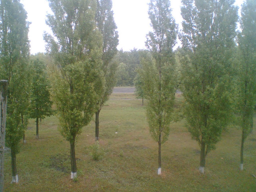 Вид из окна на дорогу