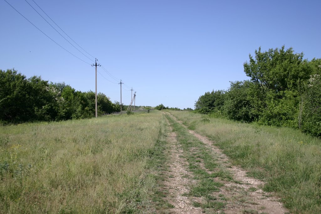 Zolote