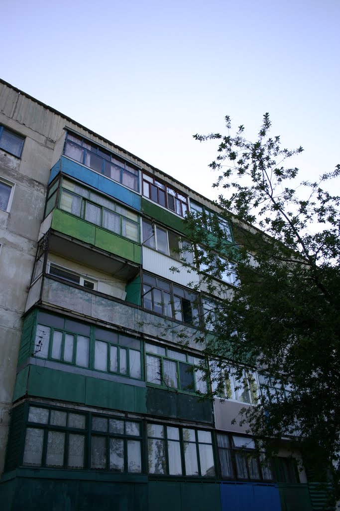 Zolote