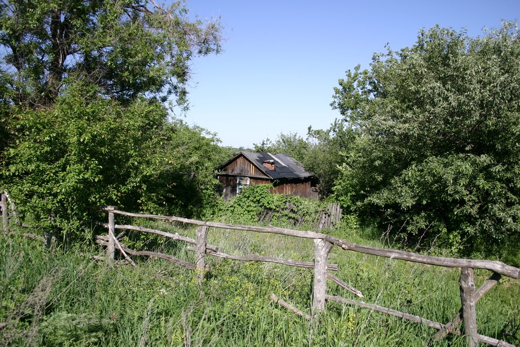 Zolote