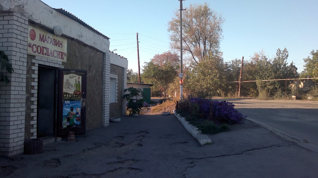 shop