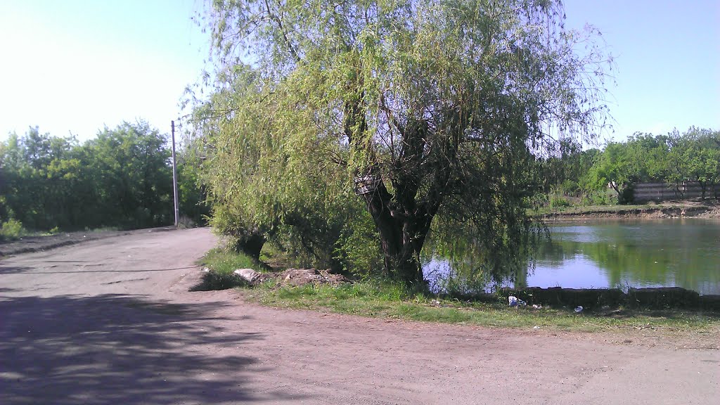 Дорога на шахту "Карбонит"