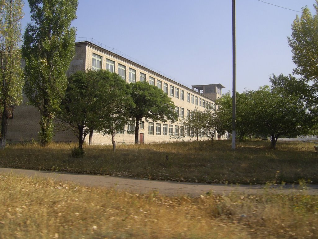 School