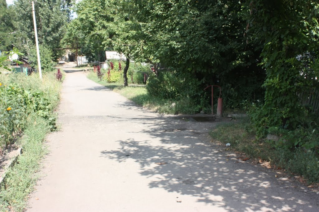 Переулок Менделеева.