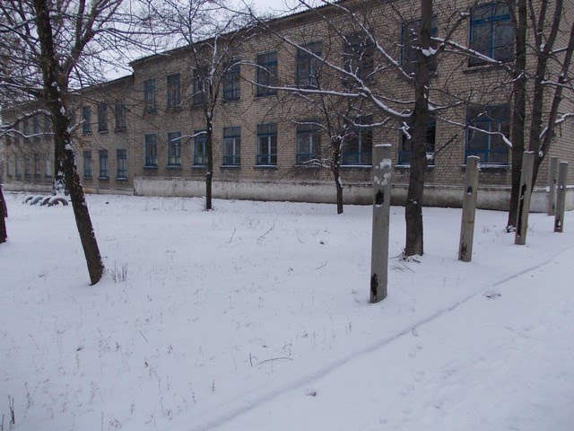 Школа №5