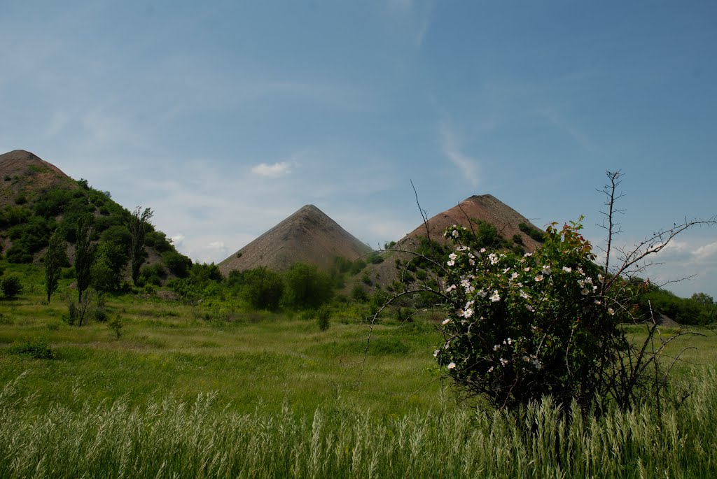 донбасские пейзажи
