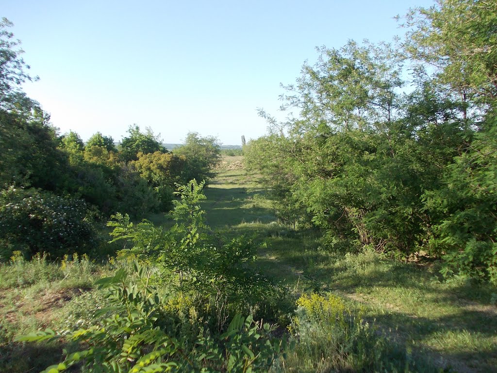 Майский день в Кировске