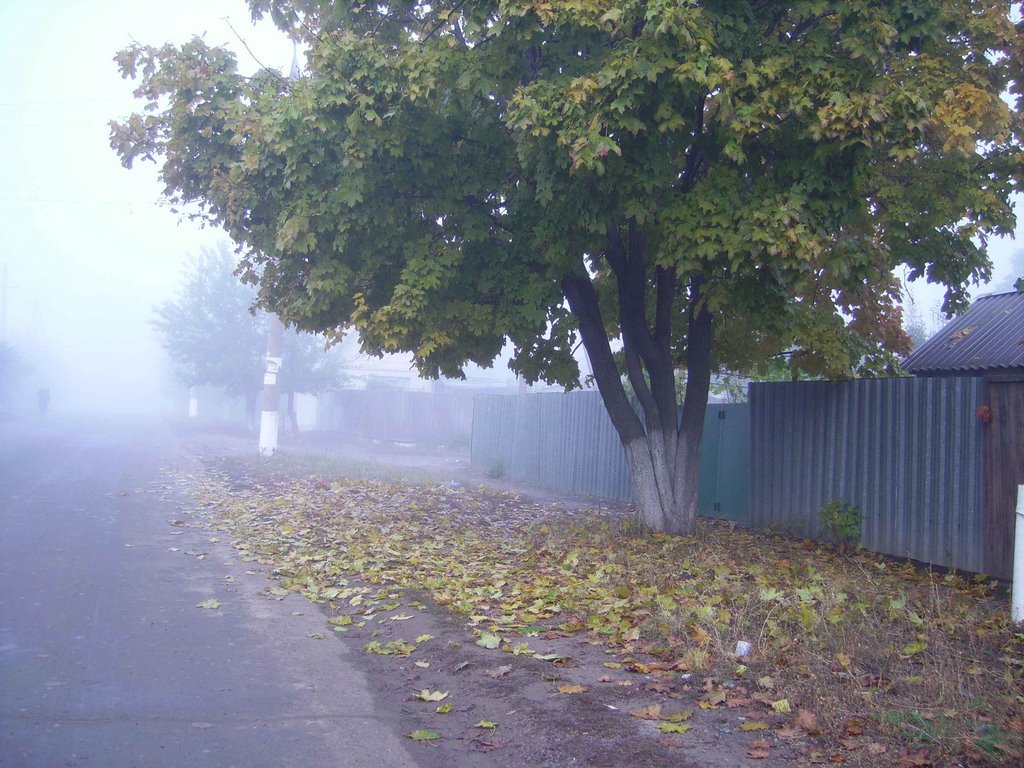 IMGP0669