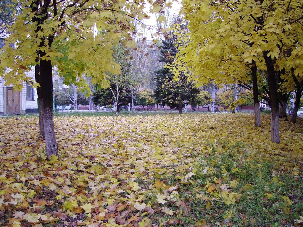 IMGP0878