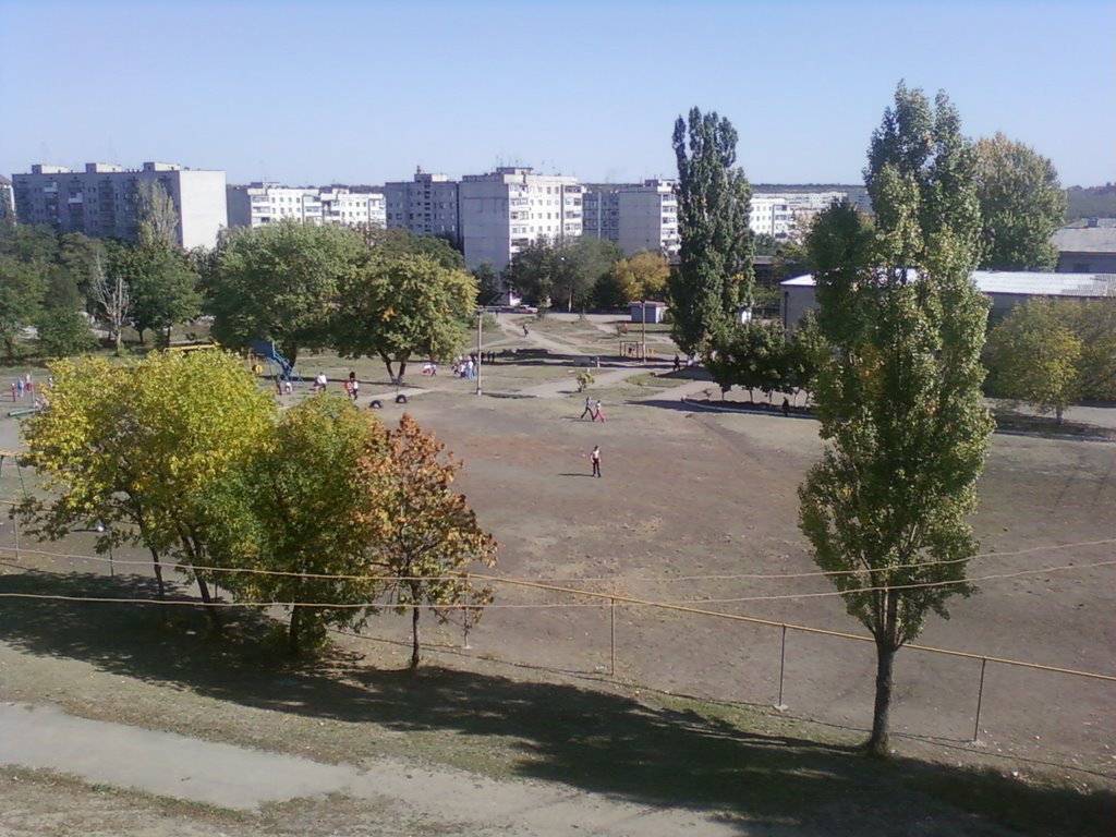 ШКОЛЬНОЕ ПОЛЕ.