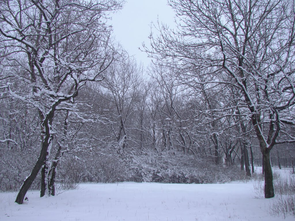 In the park