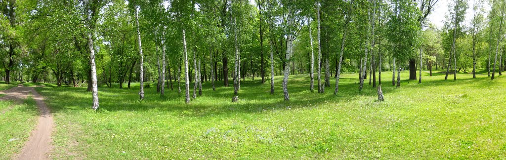 Бярозки. Кременная. (10.05.2014)