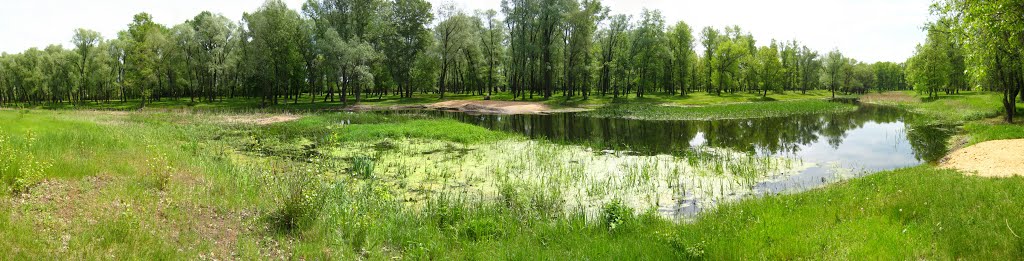 Река Красная. Кременная. (10.05.2014)